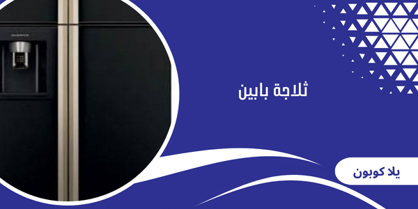 ثلاجة بابين