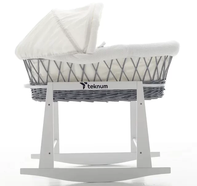 تيكنوم - مهد المواليد (سلة موسى)