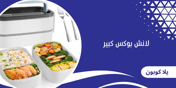 لانش بوكس كبير